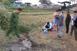 Xử phạt hơn 400 triệu đồng cơ sở sơ chế cà phê tại Sơn La