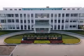 Xử phạt trên 400 triệu đồng Công ty TNHH Lucky Dragon Việt Nam