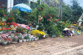 Người dân hiểu và thay đổi nhận thức chấp hành trật tự, văn minh đô thị