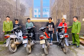 Bắt nhóm đối tượng trộm cắp xe máy liên tỉnh