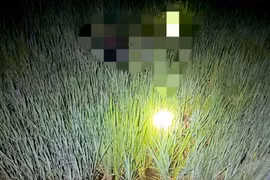 Dùng điện bẫy chuột dẫn đến chết người