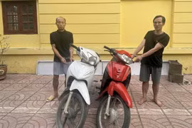Phát hiện ổ nhóm trộm cắp, tiêu thụ xe máy