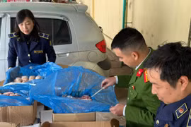 Phát hiện gần 2 tấn thực phẩm nhập lậu