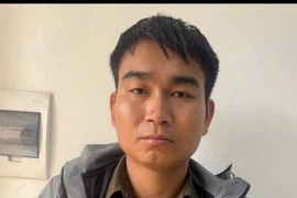 Điều tra, làm rõ đối tượng đập kính xe ô tô trộm cắp tài sản