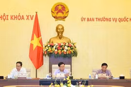 Bảo đảm tính nghiêm minh đối với xử lý hành vi nâng giá cơ hội 