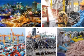Ngân hàng Thế giới (WB): Kinh tế Việt Nam có nhiều tín hiệu tích cực trong năm 2022