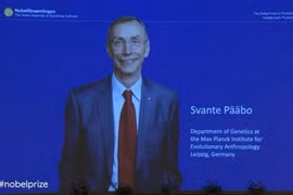 Giải Nobel Y sinh 2022 vinh danh nhà nghiên cứu về sự tiến hóa loài người 