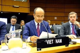 Việt Nam ứng dụng năng lượng nguyên tử phục vụ phát triển bền vững 