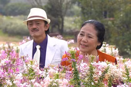  "Tỏ tình Tết"