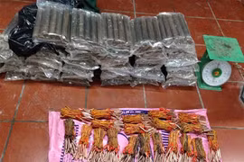 Vận chuyển 80kg thuốc nổ cùng 500 kíp điện