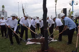 Hà Nội – Sơn La trồng cây hoa ban trắng trên đường Võ Nguyên Giáp 