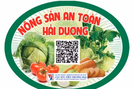 Xúc tiến tiêu thụ nông sản trên sàn thương mại điện tử Sendo