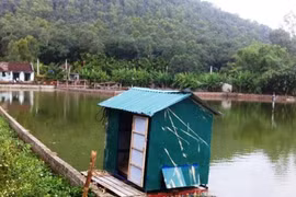 Bị quây bắt, các 'con bạc'...tá hỏa nhảy xuống ao 