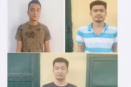Bắt nhóm đối tượng trộm cắp ô tô