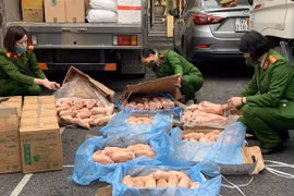Phát hiện mỹ phẩm, thuốc tây, chân lợn cất giấu trên xe tải