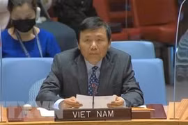 Việt Nam kêu gọi bảo đảm an toàn cho thường dân tại Afghanistan 