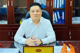 Che biển kiểm soát khi tham gia giao thông bị phạt tiền đến 1.000.000 đồng