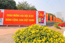 Thành công của Việt Nam là nhờ sự lãnh đạo sáng suốt và tài tình của Đảng 