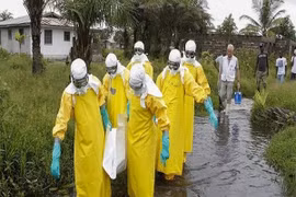 LHQ: Có thể kiểm soát sự bùng phát virus Ebola trong 3 tháng tới