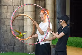 Show Vũ điệu chim trời lần đầu tiên có mặt ở Quảng Ninh
