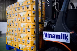 Mảng xuất khẩu của Vinamilk khởi sắc nhờ các thị trường chủ lực