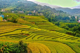 Chỉ từ 69.000 đồng bay TP. HCM– Vân Đồn: Thỏa sức khám phá Quảng Ninh