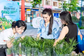 Vingroup tổ chức Ngày hội Xanh tại Ocean City