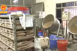 Tận mắt xem "công nghệ" chế biến trà sữa trân châu Feeling Tea từ bột màu, hóa chất Trung Quốc