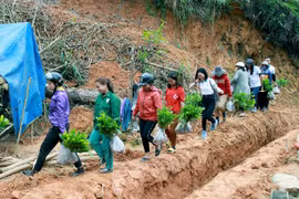Tết An Bình 2021 “phủ xanh” vùng biên giới huyện Tây Giang (Quảng Nam) 