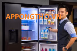 Mã lỗi tủ lạnh Samsung Side By Side Inverter