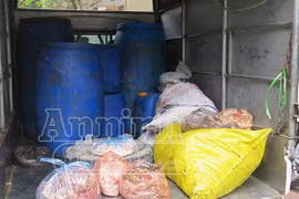 “Chặn đứng” xe tải chở 300kg lòng thối đi Bắc Giang