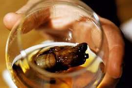 Một loại cocktail rùng rợn được ngâm từ những ngón chân người
