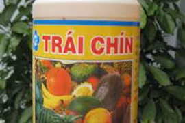 Thuốc thúc hoa quả chín: Cần công bố cho người dân biết có độc hại hay không?