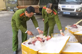Trên 3 tạ gan bò chưa kịp “xuất khẩu”