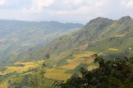 Đi qua 12 tầng dốc