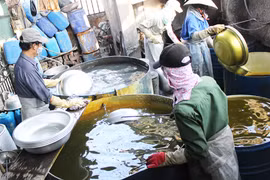 Môi trường tại các tỉnh lưu vực sông Nhuệ, sông Đáy: Không cần mô hình trình diễn