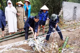 Dung túng, bao che vi phạm môi trường