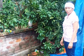 “Nghi án bố chồng nàng dâu”, con trai đẩy khiến cha ngã tử vong