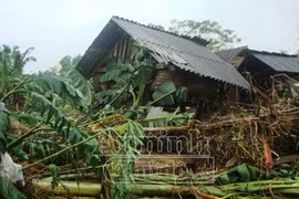 Tan hoang nơi lũ quét đi qua