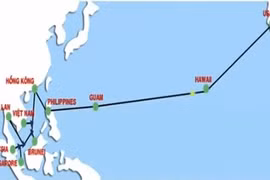 Internet đi quốc tế chậm do lại đứt cáp quang biển AAG