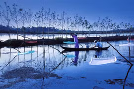 Giải thưởng Nhiếp ảnh xuất sắc năm 2011
