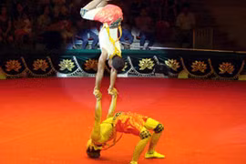 Xiếc Việt Nam giành giải thưởng lớn 