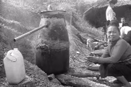 Nồng nàn rượu “tùng xẻo”