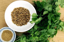 Tinh dầu từ rau mùi chống lại rất nhiều vi khuẩn 