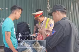 "141" bắt giữ chủ quán cà phê tàng trữ cần sa