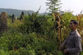 Bí ẩn khu mộ cổ mai táng Quan Mường