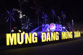 Phố phường Hà Nội "thay áo mới" đón Tết 