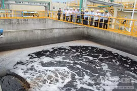 Lập hội đồng đánh giá việc khắc phục hậu quả vi phạm của Formosa