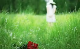 Dấn sâu vào cuộc "yêu trong bóng tối”, tôi muốn được công khai