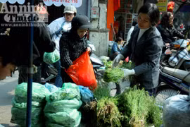 Hương mùi ngào ngạt đón xuân sang
